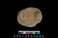 藏品(陶蓋)的圖片