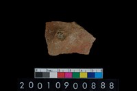 藏品(陶腹片)的圖片