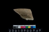 藏品(罐口緣)的圖片