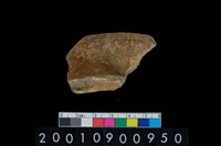 藏品(罐口緣)的圖片