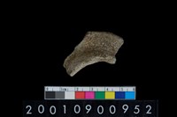 藏品(罐口緣)的圖片