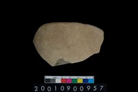 藏品(缽口緣)的圖片