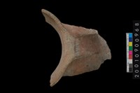 藏品(口把)的圖片