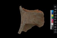 藏品(口把)的圖片