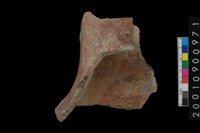 藏品(口把)的圖片