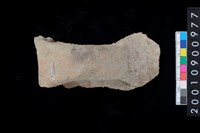 藏品(口把)的圖片