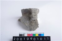 藏品(口把)的圖片