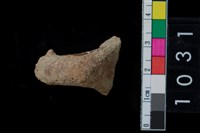 藏品(陶把)的圖片