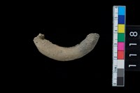 藏品(陶把)的圖片