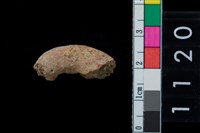 藏品(陶把)的圖片