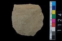 藏品(陶腹片)的圖片