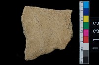 藏品(陶腹片)的圖片