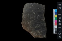 藏品(陶腹片)的圖片