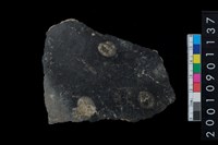 藏品(陶腹片)的圖片