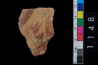 藏品(陶腹片)的圖片