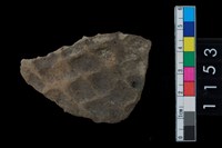 藏品(陶腹片)的圖片