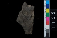 藏品(陶腹片)的圖片