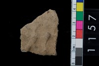 藏品(陶腹片)的圖片