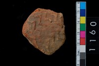 藏品(陶腹片)的圖片