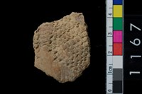 藏品(陶腹片)的圖片