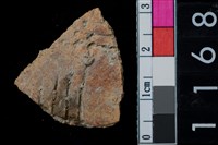 藏品(陶腹片)的圖片