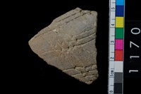 藏品(陶腹片)的圖片