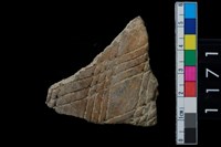 藏品(陶腹片)的圖片