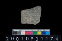 藏品(陶腹片)的圖片