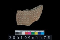 藏品(陶腹片)的圖片