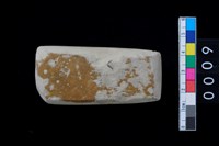 藏品(有段石錛)的圖片