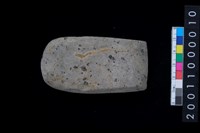 藏品(有段石錛)的圖片