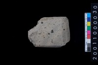 藏品(石錛)的圖片