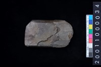 藏品(有段石錛)的圖片