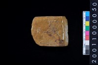 藏品(石錛)的圖片