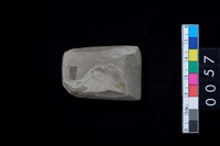 藏品(有段石錛)的圖片