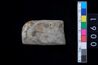 藏品(有段石錛)的圖片