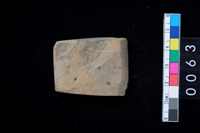 藏品(有段石錛)的圖片