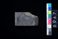 藏品(石錛)的圖片