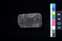 藏品(石錛)的圖片