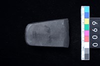 藏品(石錛)的圖片