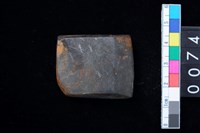 藏品(有段石錛)的圖片