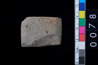 藏品(石錛)的圖片