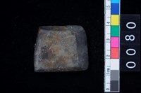 藏品(有段石錛)的圖片