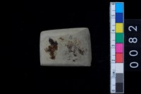 藏品(石錛)的圖片