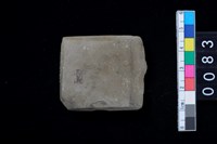 藏品(有段石錛)的圖片