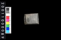 藏品(有段石錛)的圖片