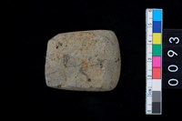 藏品(石錛)的圖片