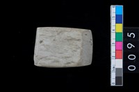 藏品(石錛)的圖片