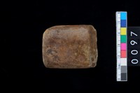 藏品(有段石錛)的圖片