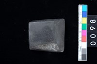 藏品(有段石錛)的圖片